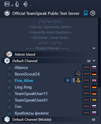 set up a teamspeak server